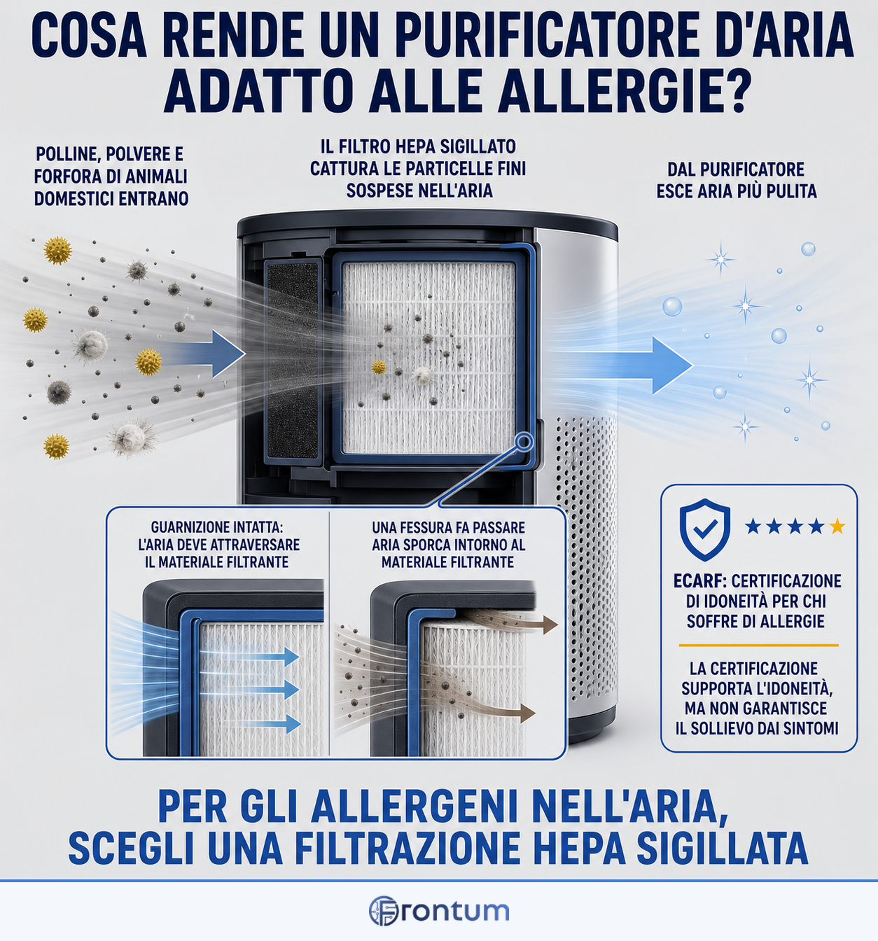 cosa-rende-un-purificatore-daria-adatto-alle-allergie-infographic-it