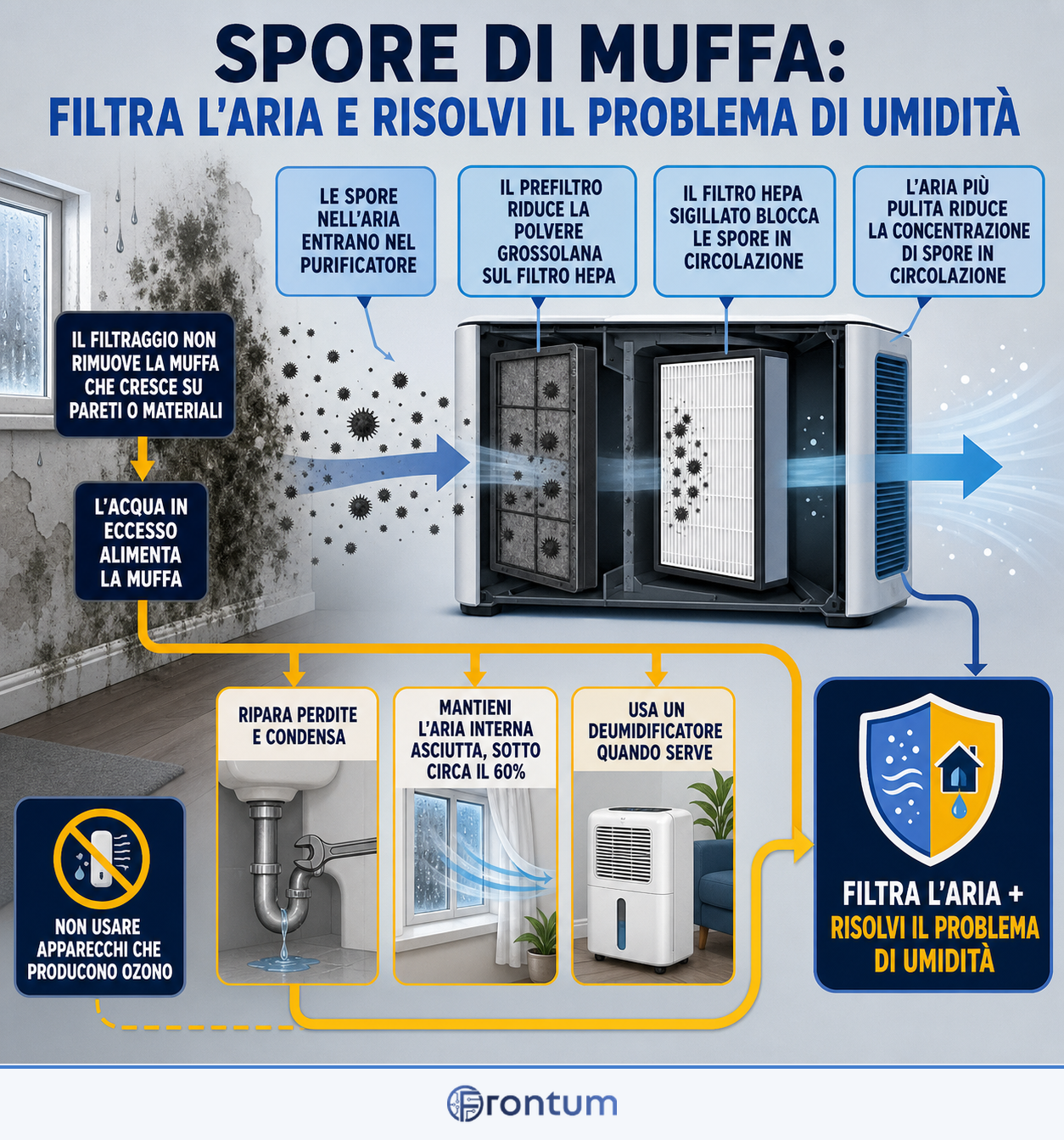 spore-di-muffa-filtra-laria-e-risolvi-il-problema-di-umidita-infographic-it